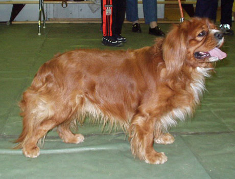 Aki Polvij�rvell� 28.4.2002