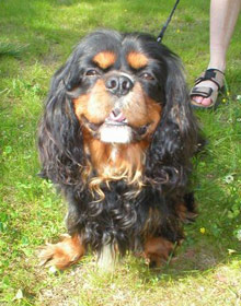 Kalle 1-vuotiskes�n��n :)