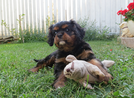 Nelli 8 viikon i�ss� (kes� 2013).