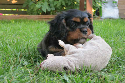 Nelli 8 viikon i�ss� (kes� 2013).