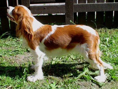 Dana hein�kuussa 2003