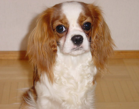 Fasu Imatran n�yttelyn j�lkeen (15.2.2004)