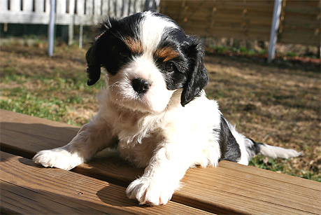 Manna viiden viikon i�ss�