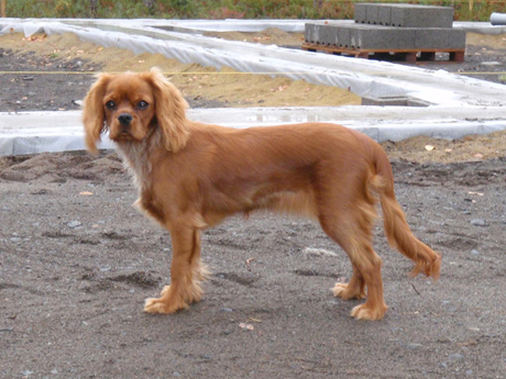 Mimmi 6 kk i�ss�