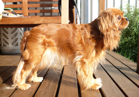 Nata syyskuussa 2008