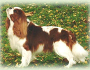 Pentujen is� Deeriem Thelonius of Anncourt 'Luke'